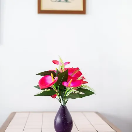 Apartamento Appartamento Centrale *